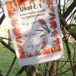 phoca_thumb_m_podzimnek 16 Fotogalerie